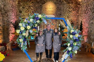 Wildflame scores S4C series set in florists
